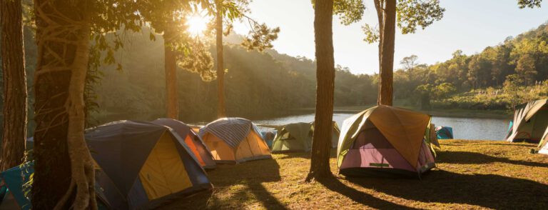 rustige camping Achterhoek